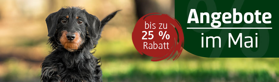Entdecken Sie Hundefutter und Leckerlis im Angebot Hundefutter und Leckerlis bis zu 25 % reduziert