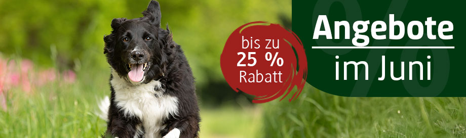 Angebote im Juni