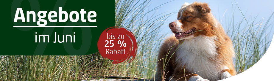Angebote im Juni