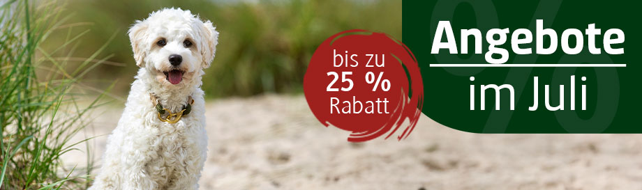 Jetzt im Juli richtig sparen! Entdecken Sie unsere Angebote. Angebote im Juli