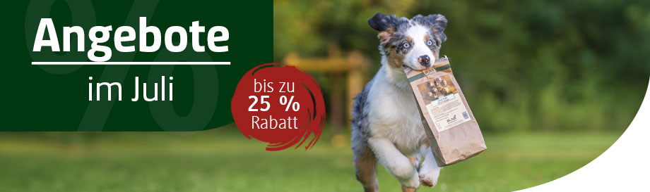 Angebote im Juli
