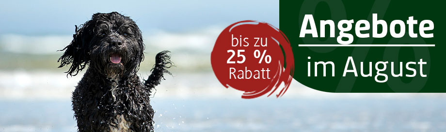 Angebote im August