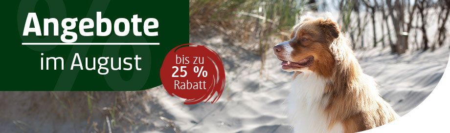 Angebote im August