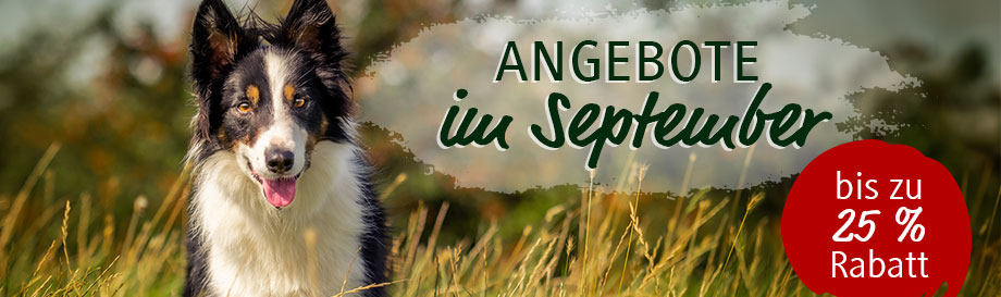 Angebote im September