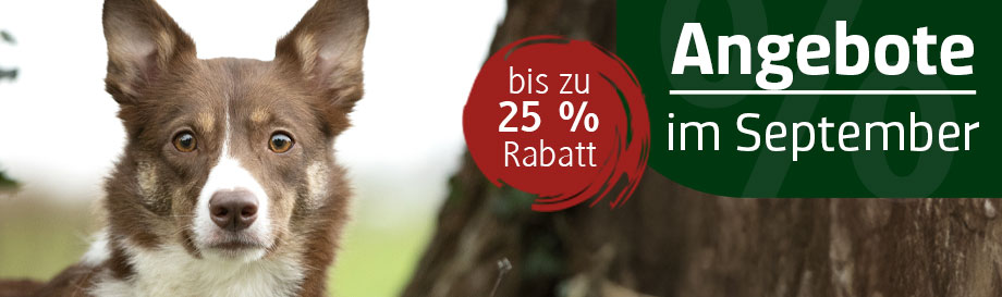 Angebote im September