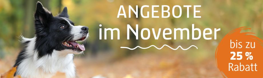 Hundefutter im Angebot