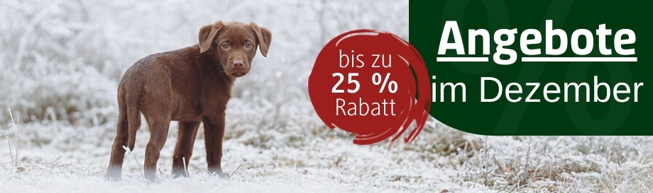 Hundefuter Angebote