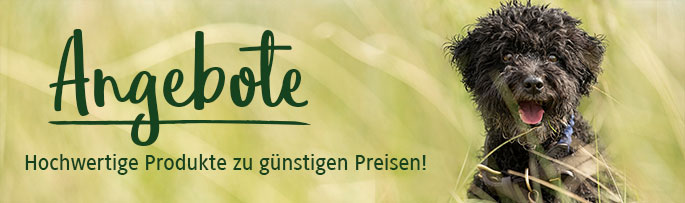 alsa Angebote