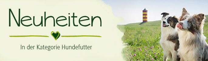 Neuheiten