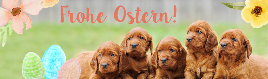 Frohe Ostern