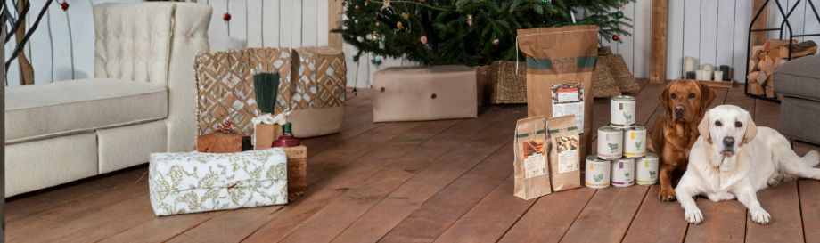 Die alsa Spendenaktion.