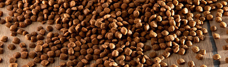 Granenvrij droogvoer voor honden