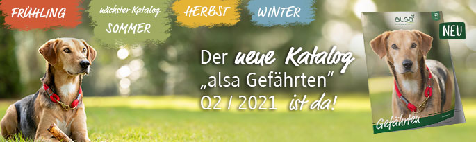 Der neue alsa Katalog ist da! Hier finden Sie alles rund um den Hund – viele Neuheiten, Spitzen-Angebote und Schnäppchen! Der neue Katalog ist da!