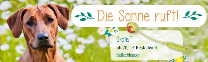 Hier finden Sie unsere neue Sommerbekleidung von Aigle, Fjällräven und OWNEY sowie spannendes Hundespielzeug, nützliches Hundezubehör und naturgesundes Hundefutter! Die Sonne ruft!
