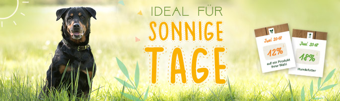 Hier finden Sie Wasserspielzeug, funktionale Liegebetten, praktische Accessoires und naturgesundes Hundefutter. Ideal für sonnige Tage