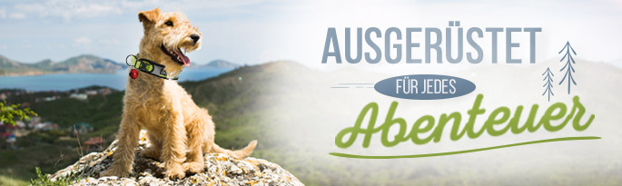 Ruffwear, Hurtta und SICCARO: Mit diesen Produkten sind Sie für den spannenden Alltag mit Hund perfekt ausgerüstet. Ausgerüstet für jedes Abenteuer