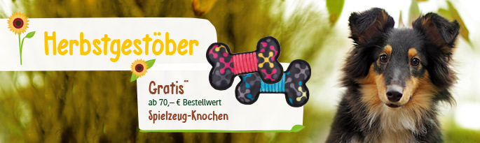 Hier erwarten Sie die neuen Herbst-/Winterkollektionen unserer Top Marken sowie die neuen Hundekalender 2019! Außerdem präsentieren wir Ihnen Hunde-Sicherheitszubehör und Nützliches für den Herbst. Herbstgestöber