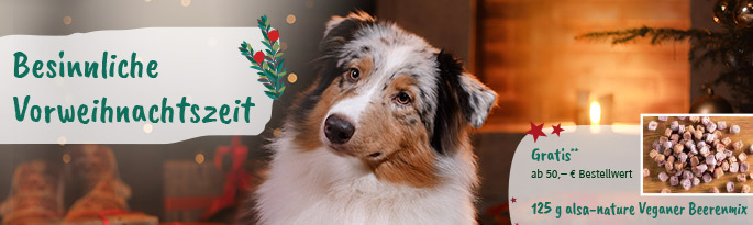 Hier finden Sie tolle Angebote rund um den Hund im November sowie Hunde-Adventskalender, Weihnachsleckerlis, Weihnachtsspielzeug für Hunde und vieles mehr. Besinnliche Vorweihnachtszeit