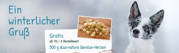Entdecken Sie naturgesunde Hundeernährung, schicke Leinen & Halsungen, bequeme Hundebetten und passend zur frostigen Jahreszeit Sicherheits- & Pflegeartikel. Ein winterlicher Gruß