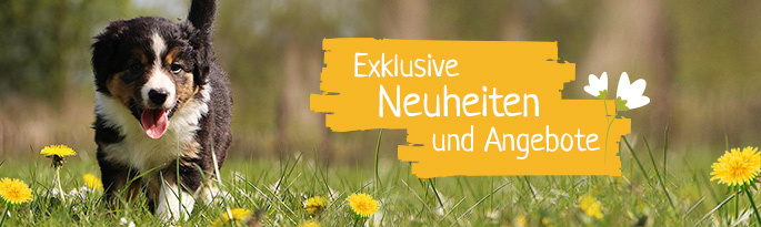 Entdecken Sie robuste Hundeleinen & Halsbänder, Ungezieferschutz für Hunde und weitere Produkte, die Sie entspannt in den Frühling blicken lassen. Exklusive Neuheiten und Angebote