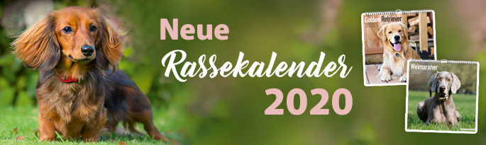 Hundekalender 2020 – die schönsten Motive verschiedener Hunderassen. Gültig bereits ab September 2019. Neue Rassekalender 2020