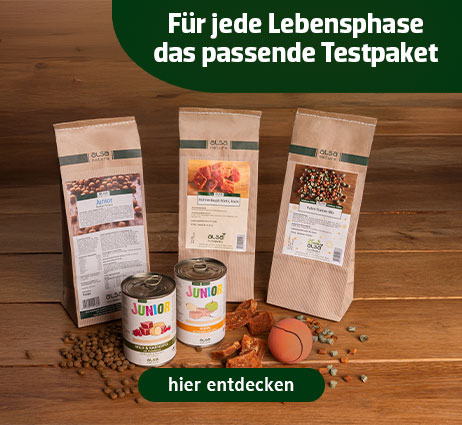 hundeleine tau Elegante Hundeleine aus Tauseil main image 1