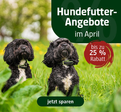 Hundefutter im Angebot