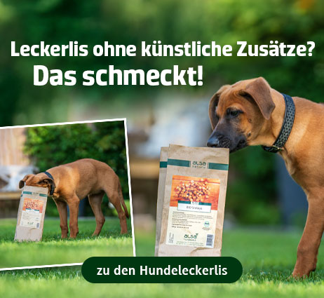 Hundeleckerlis ohne künstliche Zusätze