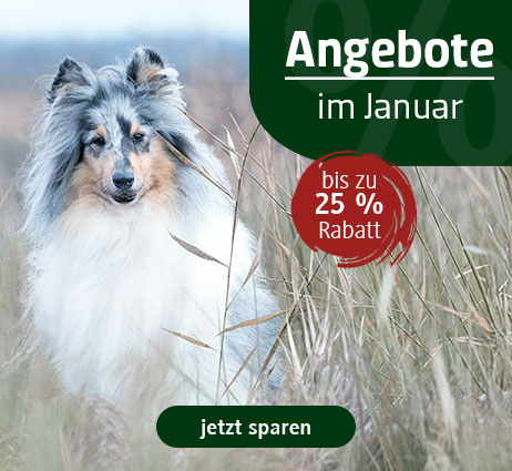 Hundefutter im Angebot