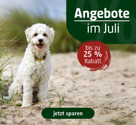 Hundefutter im Angebot