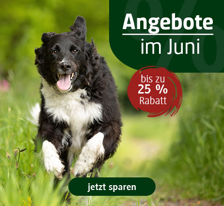 Hundefutter im Angebot
