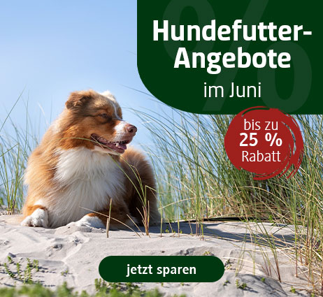 Hundefutter im Angebot