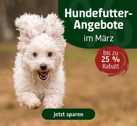 Hundefutter im Angebot