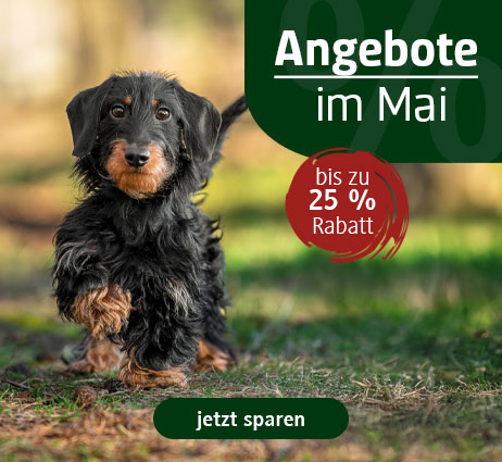 Hundefutter im Angebot