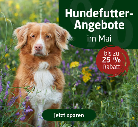 Hundefutter im Angebot