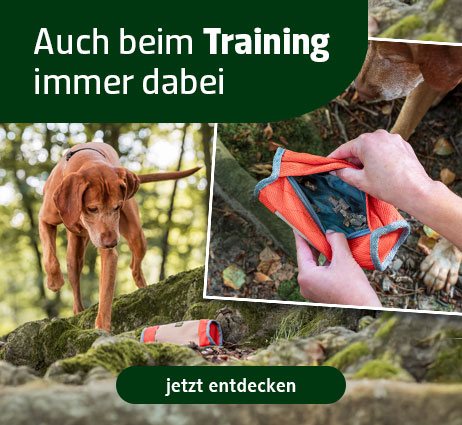 Alles für das Hundetraining