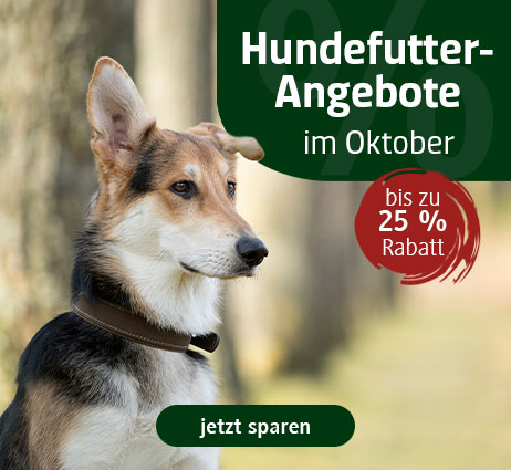 Hundefutter im Angebot