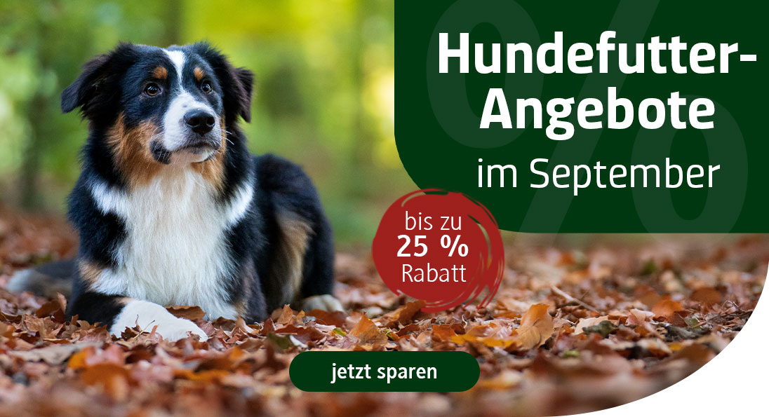 Hundefutter im Angebot