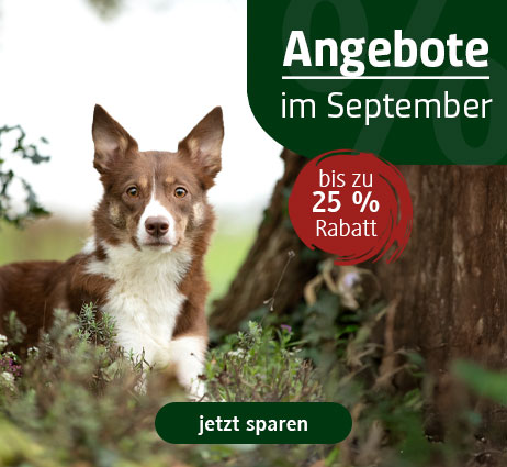 Hundefutter im Angebot