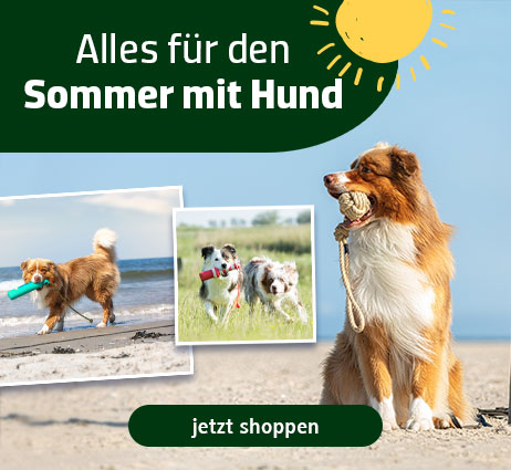 Alles für den Sommer mit Hund
