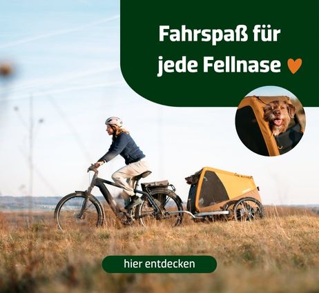 Fahrspaß für jede Fellnase