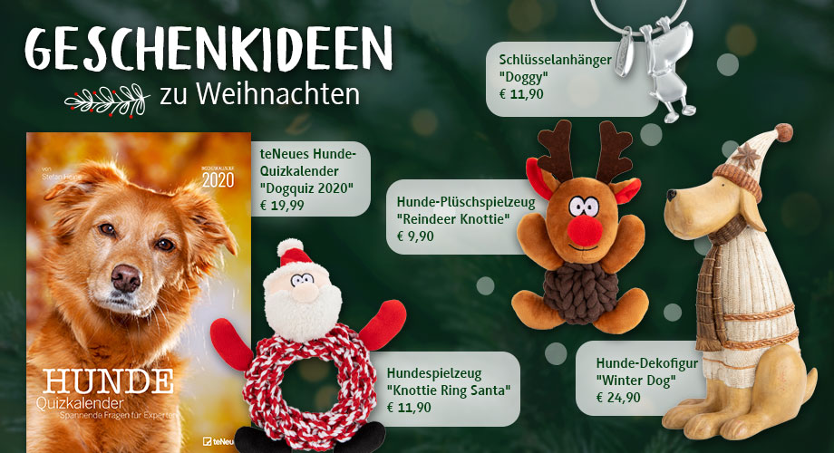 Geschenkideen