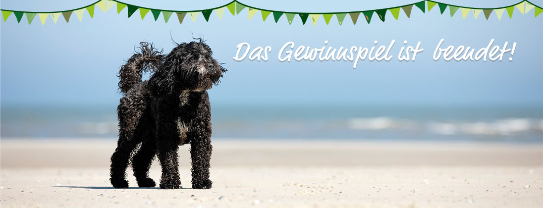 Das Gewinnspiel ist beendet