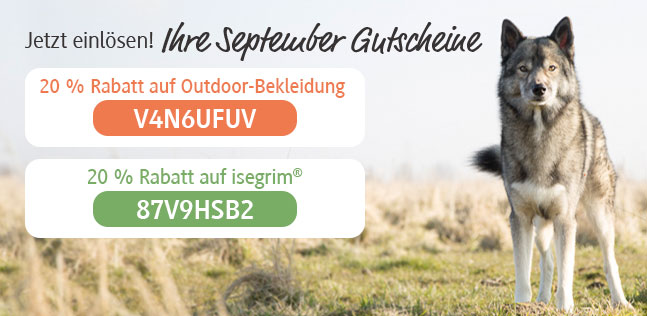 Der alsa Gutscheinkalender