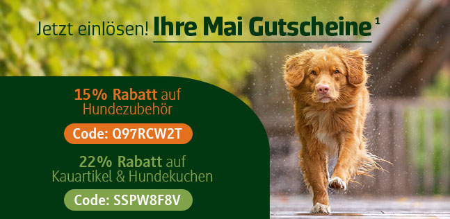 Der alsa Gutscheinkalender