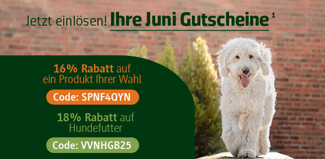 Der alsa Gutscheinkalender