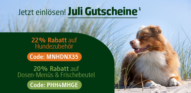 Der alsa-hundewelt Gutscheinkalender
