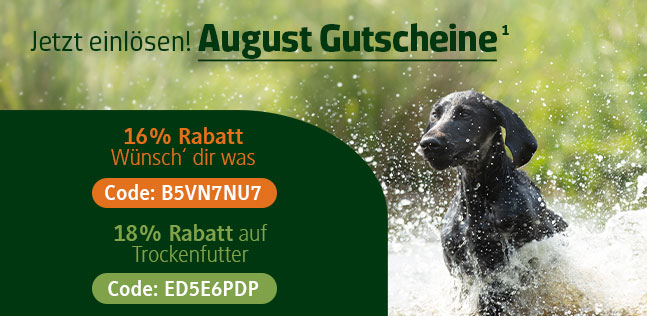 Der alsa-hundewelt Gutscheinkalender