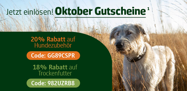 Der alsa-hundewelt Gutscheinkalender