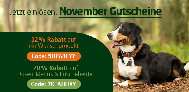 Der alsa-hundewelt Gutscheinkalender
